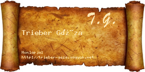 Trieber Géza névjegykártya