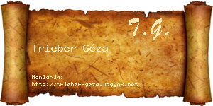 Trieber Géza névjegykártya